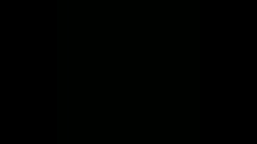 القران الكريم 365