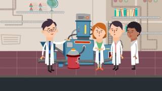 Experience Will Get You Hired! Why Co-op or Intern?