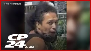 Man arrested in connection with dog attack in downtown Toronto