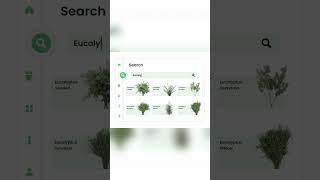 Plant Shop￼ #website  #concept #ui design