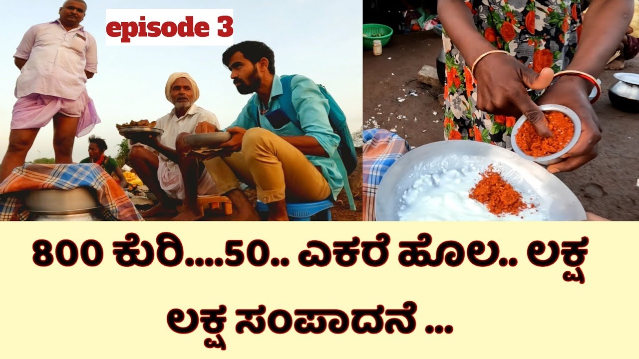 10ಆಡುಗಳಿಂದ 800 ಕುರಿ ದಾರಿ ಸುಲಬದಾಗಿತ್ತೆ? | night camp with sheep farmers-Krushi Sanchari-Vinod Baligar