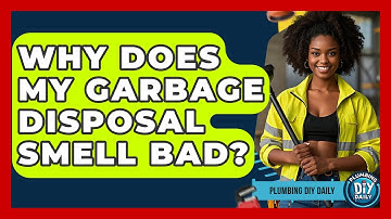 Why Does My Garbage Disposal Smell Bad? - Plumbing DIY Daily