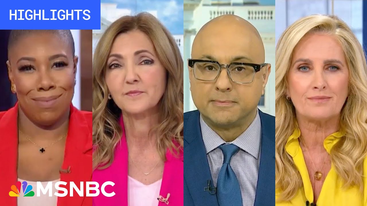 Countdown to the 2024 election: Day 100 | MSNBC Highlights