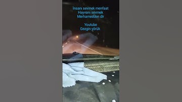 gezgin yörük göç zamani