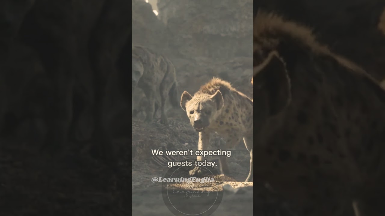 Learn English from move clip | 