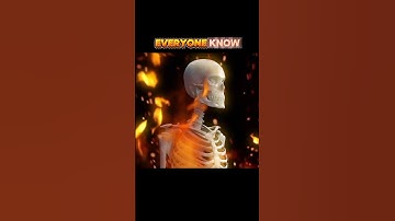 ☠️ bone 3d animation ☠️ #education #viral #shorts