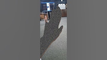 Lightship SDK Segmentation을 이용한 AR Masking