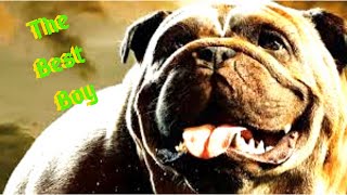 A VERY GOOD BOY | Lockjaw History