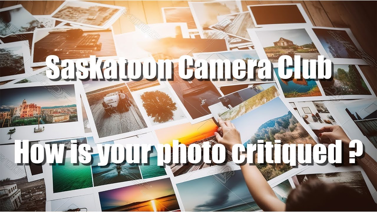 How is Your Photograph Critiqued