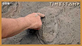 8,000-Year-Old Footprints Offer A Glimpse Into Britain’s Mesolithic Past | BBC Timestamp