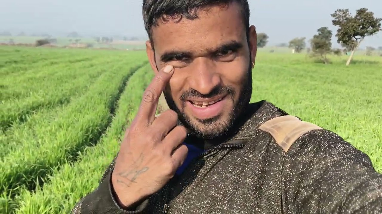 खेत को किया पानी पिलाने का काम बहुत बढ़ियाहरियाली