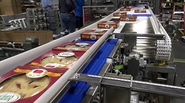 53377 BluePrint Automation (BPA) Gantry 100 Case Packer