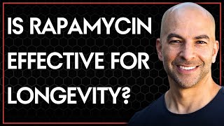 Is rapamycin an effective longevity drug?