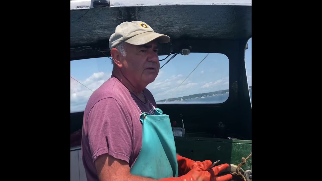 New Hampshire Lobsterman