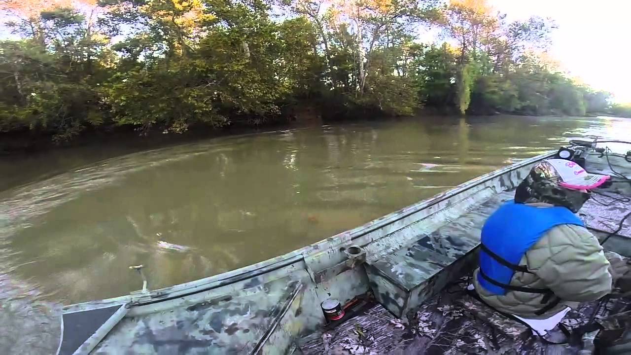 Bayou Sorrel YouTube