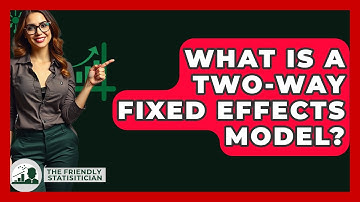 What Is A Two-Way Fixed Effects Model? - The Friendly Statistician