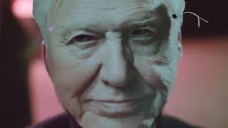 David Attenborough's Jungle Boogie at #cheltlitfest