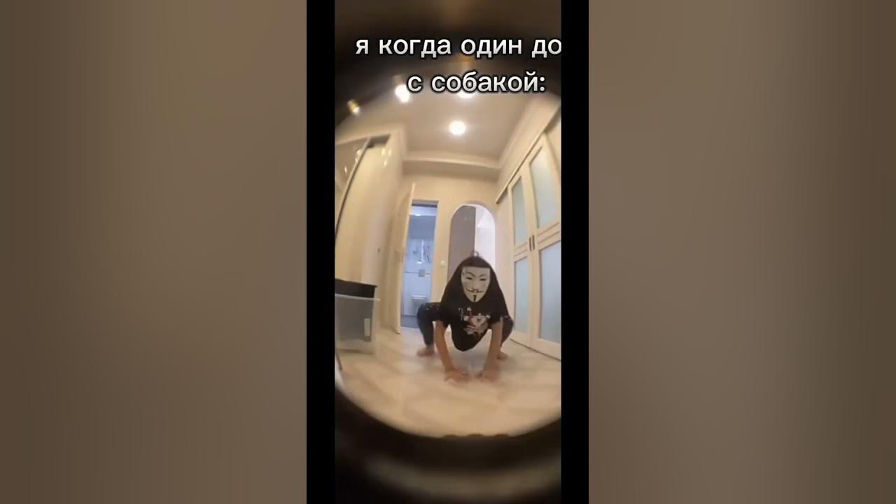 какой будет твой питомец? - YouTube