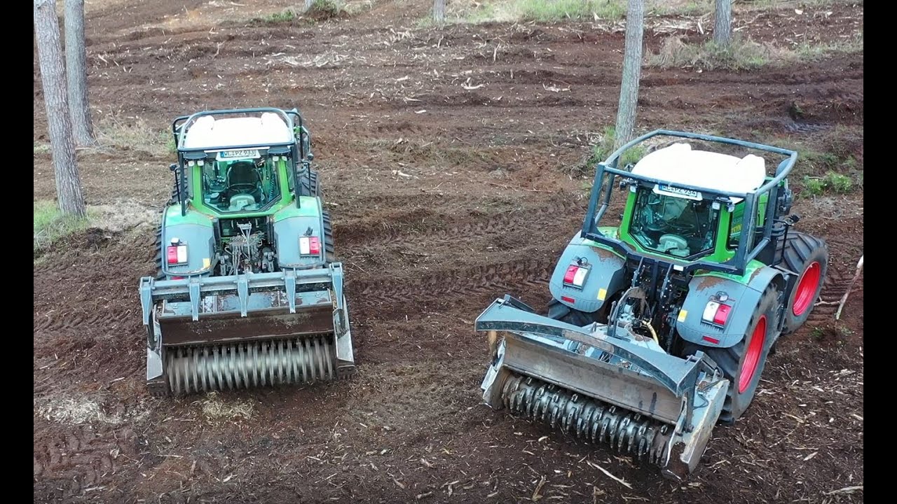 Forstmulchen bei ZEYN Forstservice