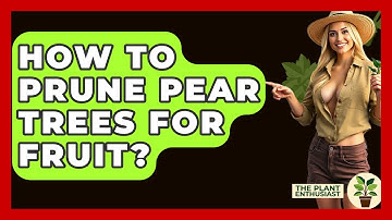 How To Prune Pear Trees For Fruit? - The Plant Enthusiast