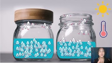 Phases of Matter and Phase Changes| Science 8