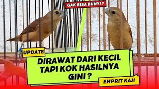 UPDATE EMPRIT KAJI❗SUNGGUH DI LUAR PREDIKSI KENAPA JADI BEGINI❓