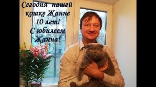 Несерьёзное видео. Нашей кошке Жанне 10 лет! Юбилей! Несерьёзное видео. Нашей кошке Жанне 10 лет! Юбилей!