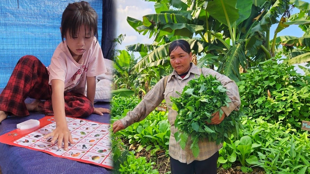 Ly Tieu Da picks vegetables to earn money for her child’s education.”