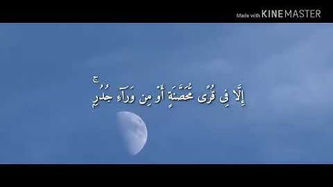 سورة الحشر تلاوة خاشعة ومؤثرة 