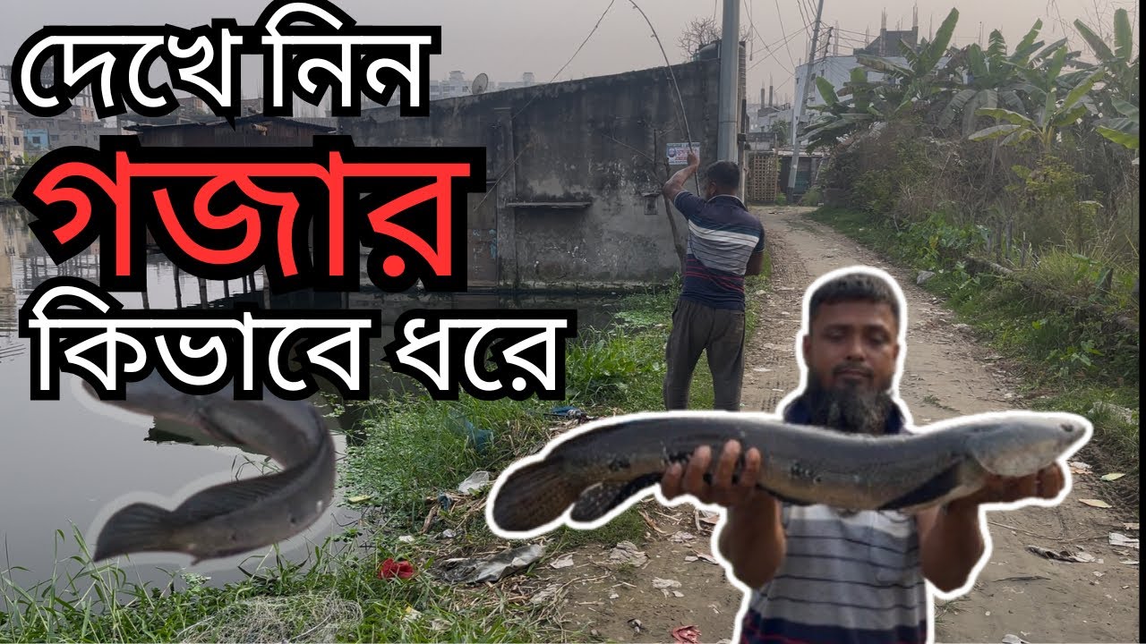 কেচোর টোপ দিয়ে বড় শৌল-গজার মাছ ধরা | Catching Big Snakehead  Fish in Earthworm Bait | #fishingvideo