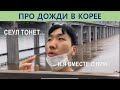 дожди в Корее/наводнение в Сеуле /Корея влог