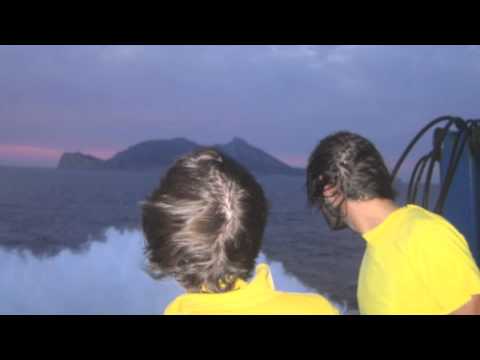 Los Lagartos - Joe Crepúsculo