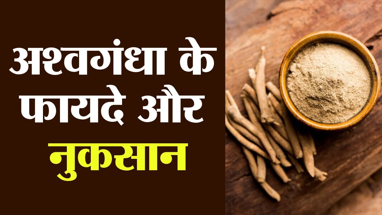 अश्वगंधा के फायदे और नुकसान Ashwagandha ke fayde Ashwagandha