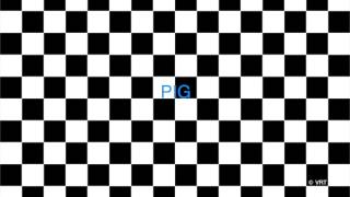 Static Checkerboard X1 Viewing Paradigm 60 bpm