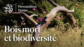 Bois mort et biodiversité au jardin en permaculture.