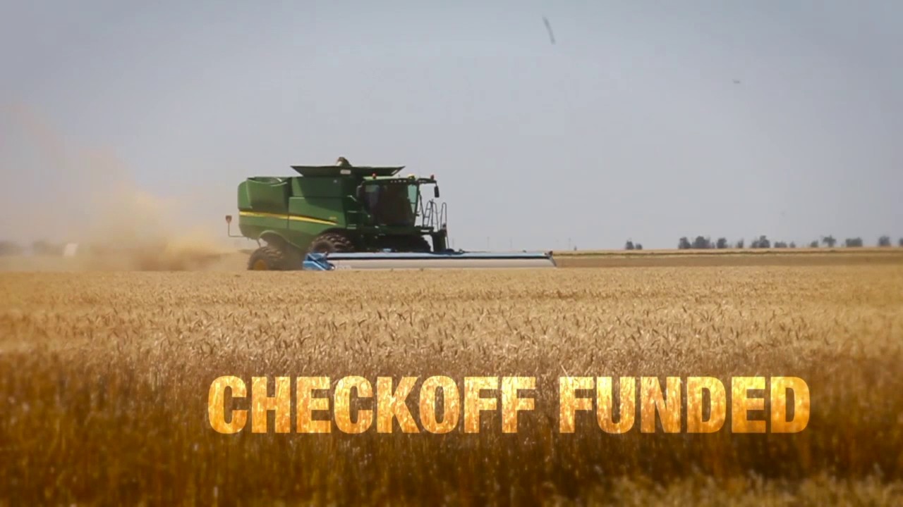 Thats My Farm - The Pros and Cons of Burning the Prairie - June 16, 2017