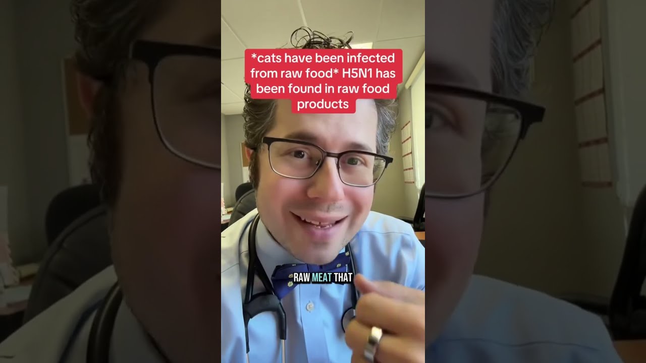 Why Do Farmers Cull Birds When There Is A Bird Flu Outbreak Birdflu Influenza Doctor