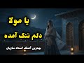 بازخوانی متفاوت و لطیف یا مولا دلم تنگ آمده Soft Unique AI Female Re Creation 