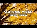 AUTUMN VIBES IN SEOUL, SOUTH KOREA - ANAKJAJAN.COM