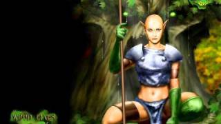 Warlords Battlecry II Soundtrack 4