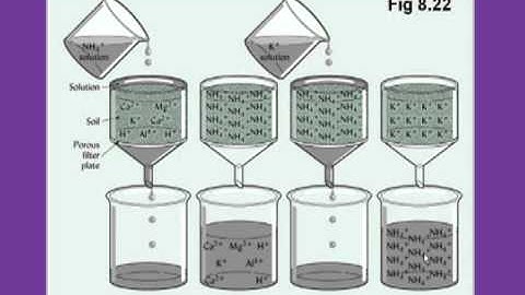 Forest Soils - Colloids