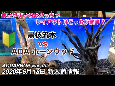2[新品]ADAホーンウッド６本★枝系　水槽　レイアウト　流木　アクアリウム ADA Review 「水景クリエイターへの挑戦状 〜ホーンウッド編