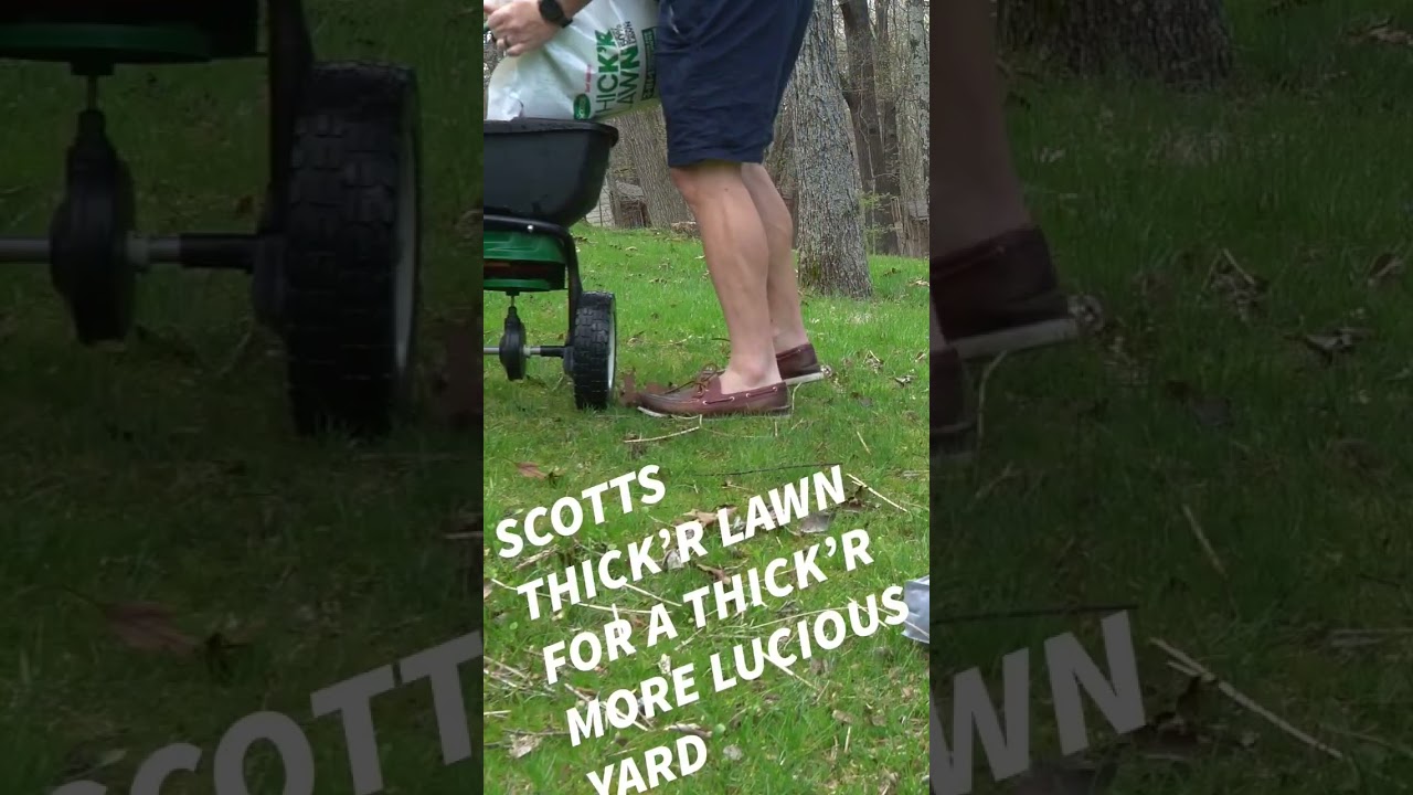 I used  @ScottsLawn products from @HomeDepot  to make my lawn look 🤌