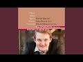Miniature de la vidéo de la chanson Clarinet Quintet In B-Flat Major, Op. 34 (Version For Chamber Orchestra): I. Allegro