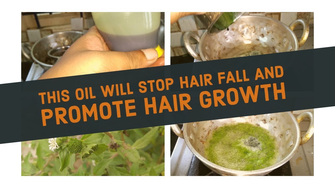Karisalankanni Oil For Hair Growth \ கரிசலாங்கண்ணி கீரை எண்ணெய் கரிசலாங்கண்ணி தைலம் YouTube