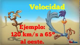 Rapidez y Velocidad