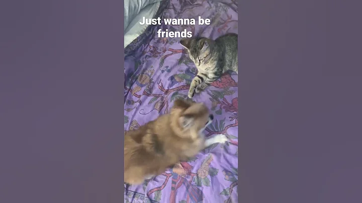 Just wanna be friends