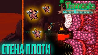 Terraria 1,4 Мастер Призыватель - Скелетрон и Стена Плоти