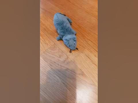 БЫСТРАЯ МЫШЬ... - YouTube