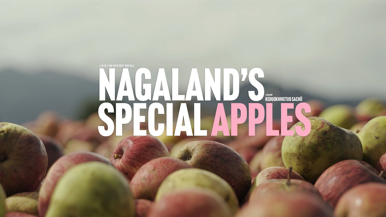How Thanamir became the apple capital of Nagaland